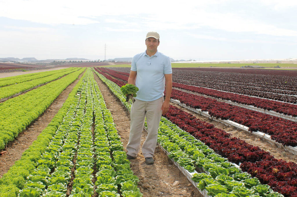 ¡Cultiva sin límites con el cultivo hidropónico al aire libre! 1 ¡Cultiva sin límites con el cultivo hidropónico al aire libre!