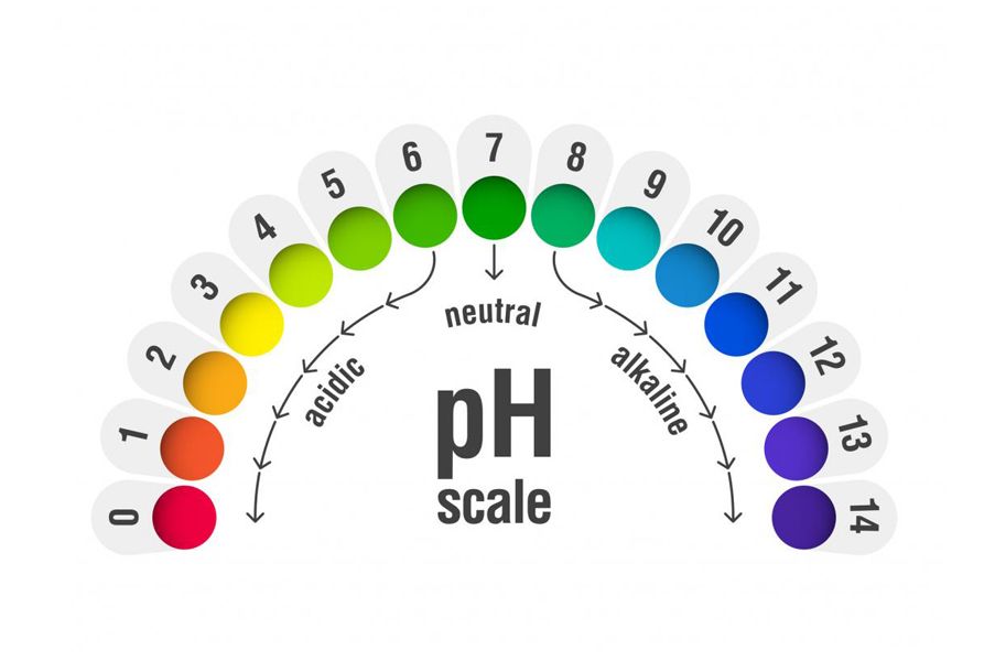 Optimización de pH en hidroponía para obtener cultivos increíbles