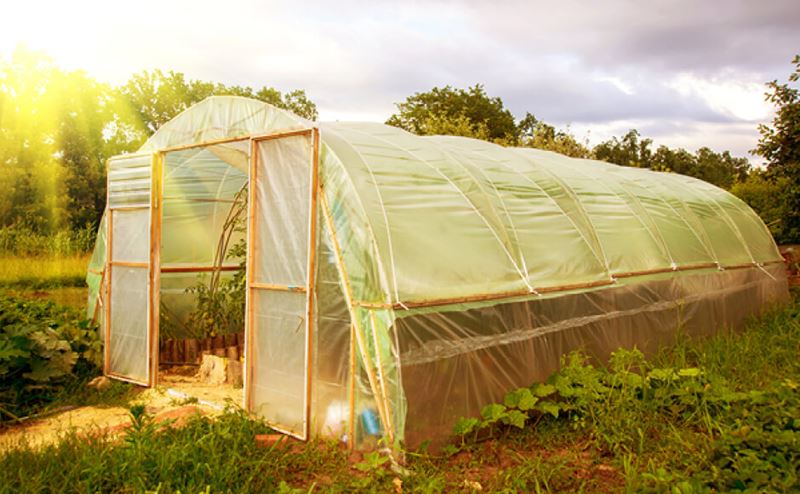 Maximiza tu cultivo con hidroponía en climas áridos y desérticos 1 Maximiza tu cultivo con hidroponía en climas áridos y desérticos