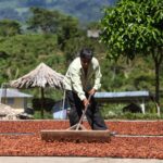 Hidroponía: Una solución segura para la alimentación sostenible