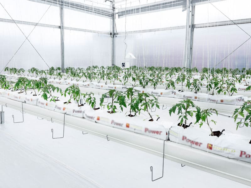 Invernaderos de alta tecnología: maximiza tu cosecha con innovación 1 Invernaderos de alta tecnología: maximiza tu cosecha con innovación
