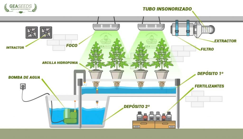 Revolutionary Hydroponics: Water Recycling for Sustainable Growth