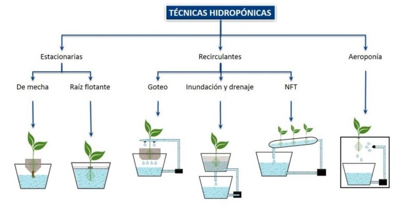 Optimiza tu hidroponía: Controla la salinidad en sistemas verticales 1 Optimiza tu hidroponía: Controla la salinidad en sistemas verticales